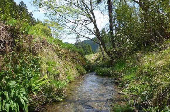 丹波篠山大山上