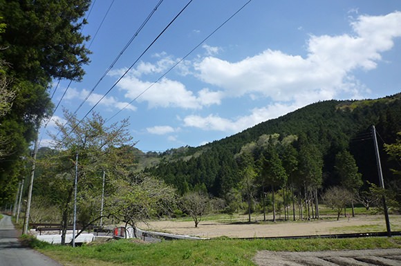 丹波篠山大山上