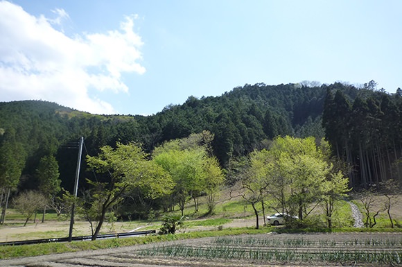丹波篠山大山上