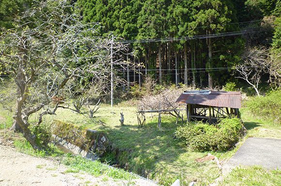 丹波篠山大山上