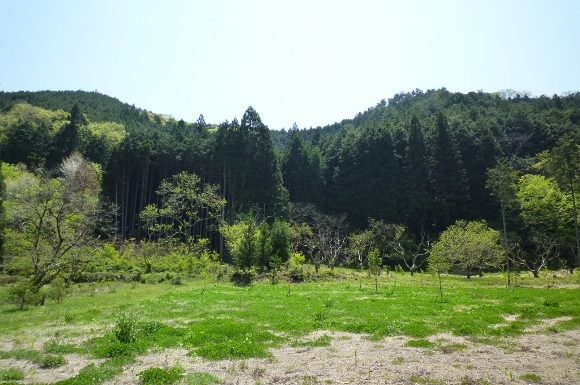 丹波篠山大山上