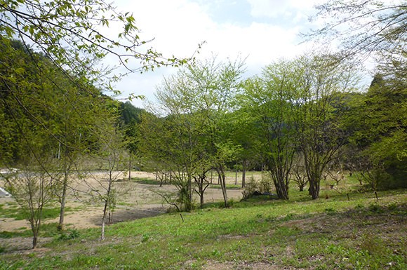 丹波篠山大山上