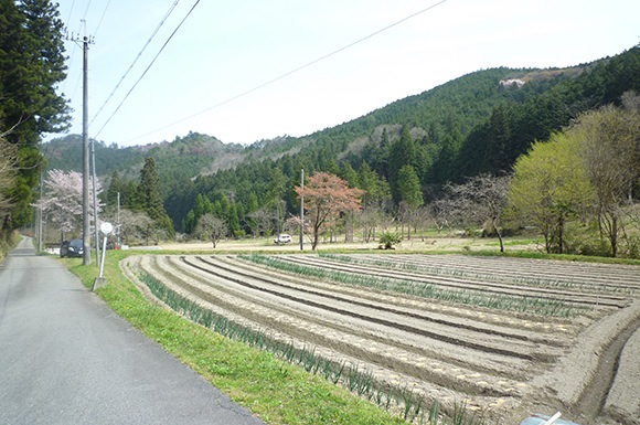 丹波篠山大山上