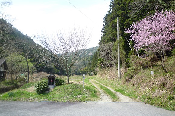 丹波篠山大山上