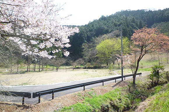丹波篠山大山上